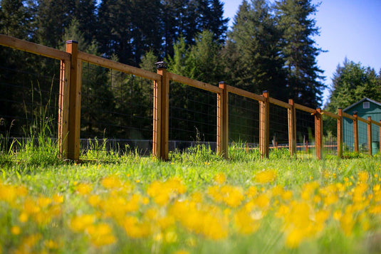 hog wire fence in a flower field