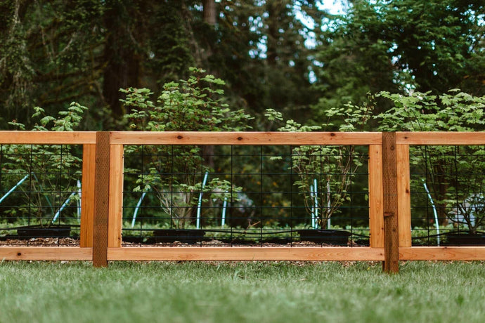 Why Quality Fencing Matters So Much in Canada