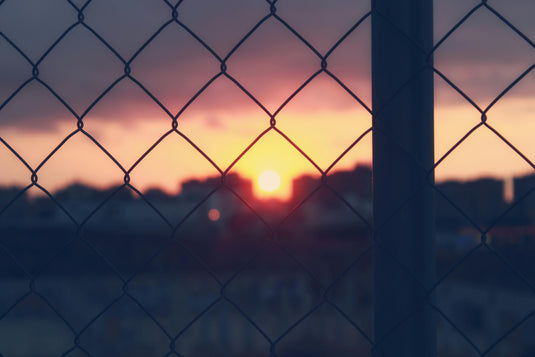 The Honest Fence: Why Chain Link Remains a Go-To Boundary
