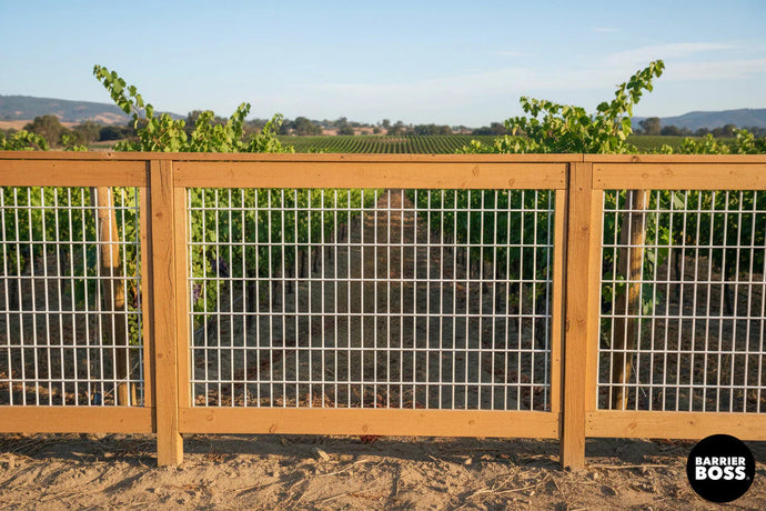 Hog Wire Fencing for Vineyards: Protecting Your Harvest in Style