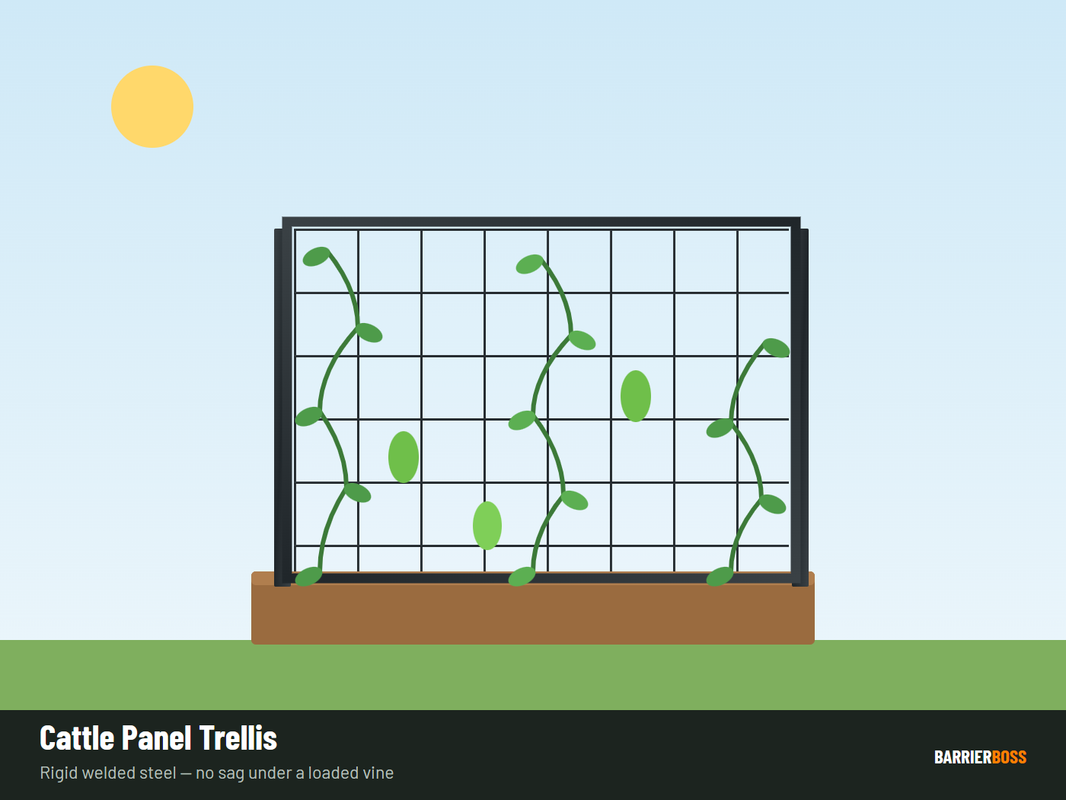 Cattle panel trellis diagram — arch span, panel width and anchor post spacing for a garden trellis
