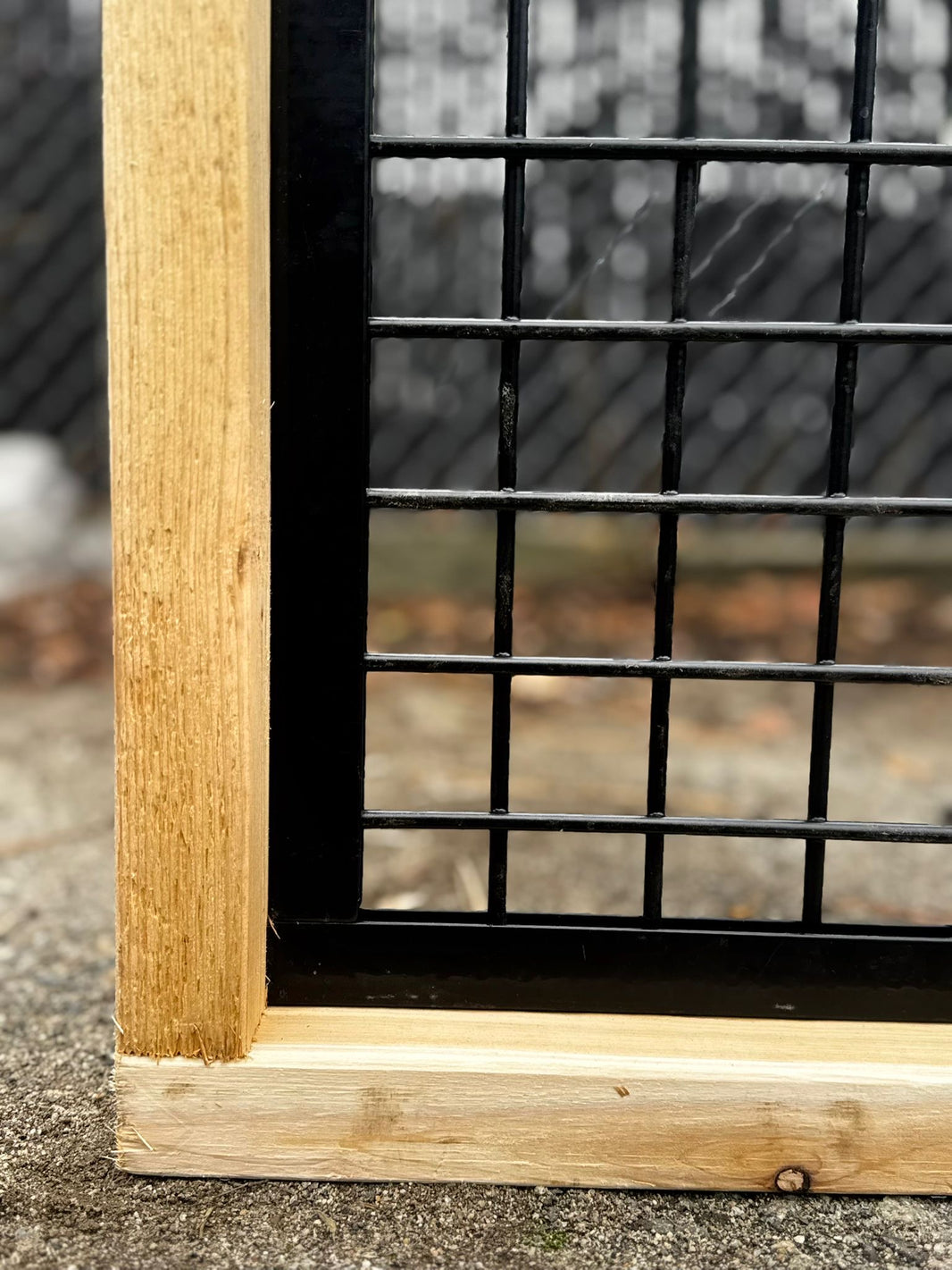 Hog Track Kit with wood frame and black metal hog wire panel.